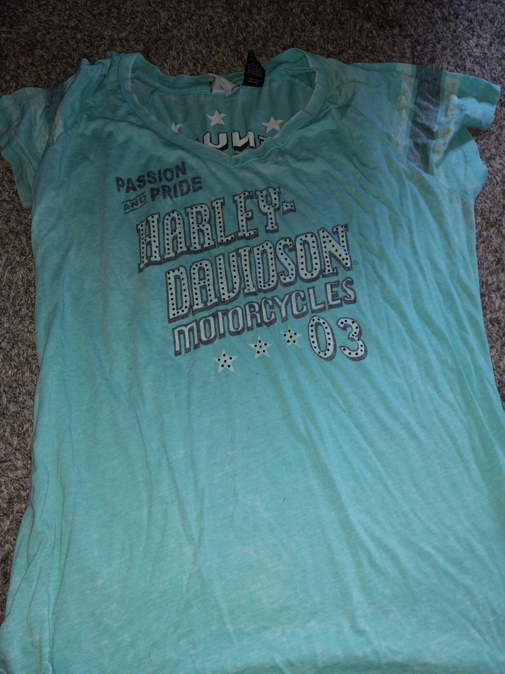 Harley-Davidson Teal Graphic Long Sleeve Tee